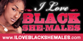 [ILoveBlackShemales] Black Shemale Idol - The Auditions #02 - Ts India
