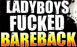 LadyboysFuckedBareback